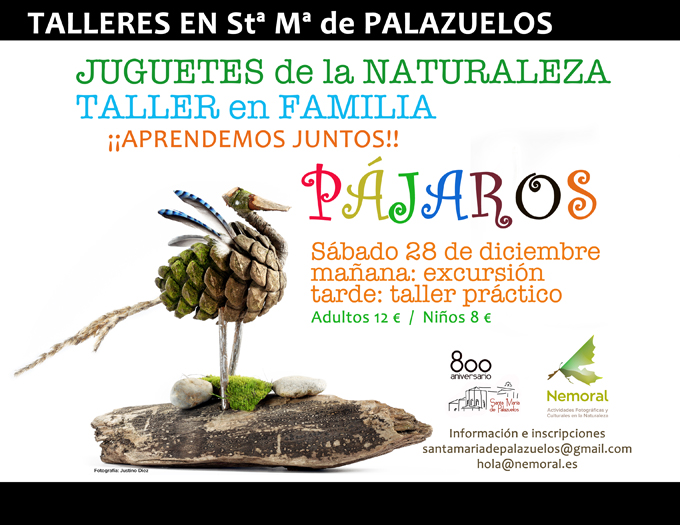 Taller excursión Familiar en Santa María de Palazuelos